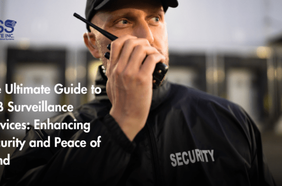 The Ultimate Guide to B2B Surveillance Services Enhancing Security and Peace of Mind