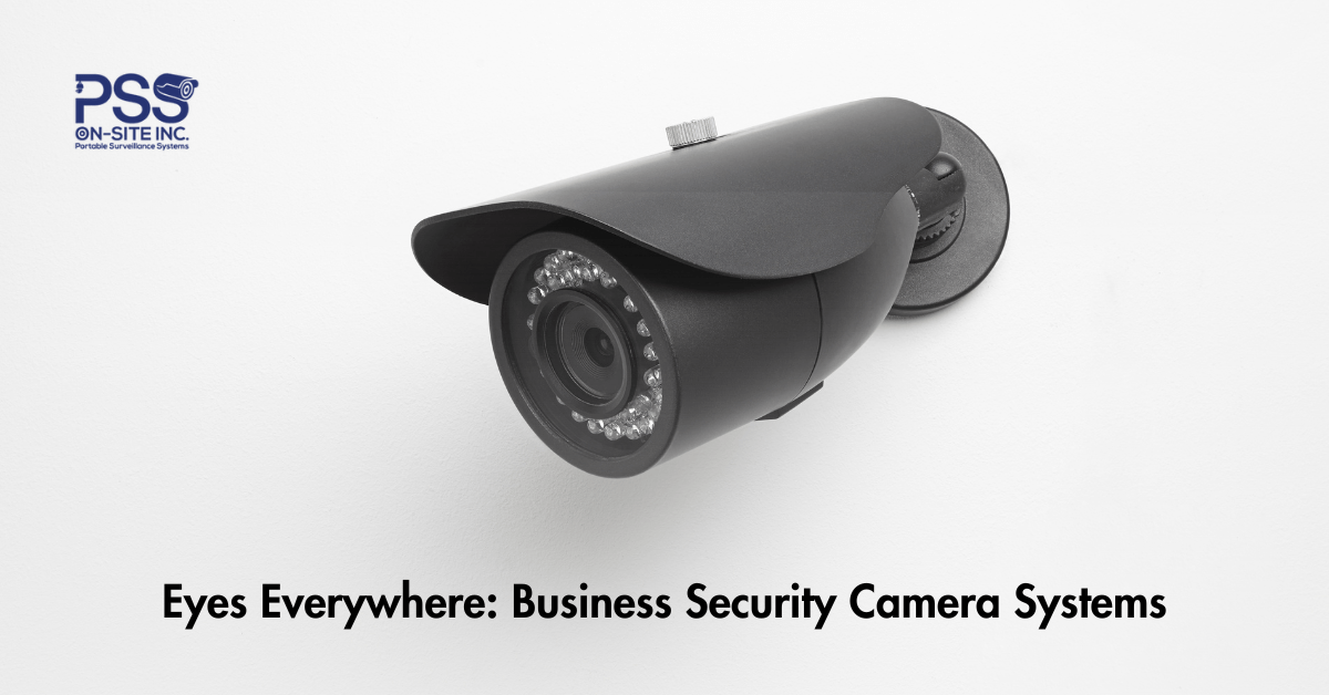 Eyes Everywhere: Business Security Camera Systems